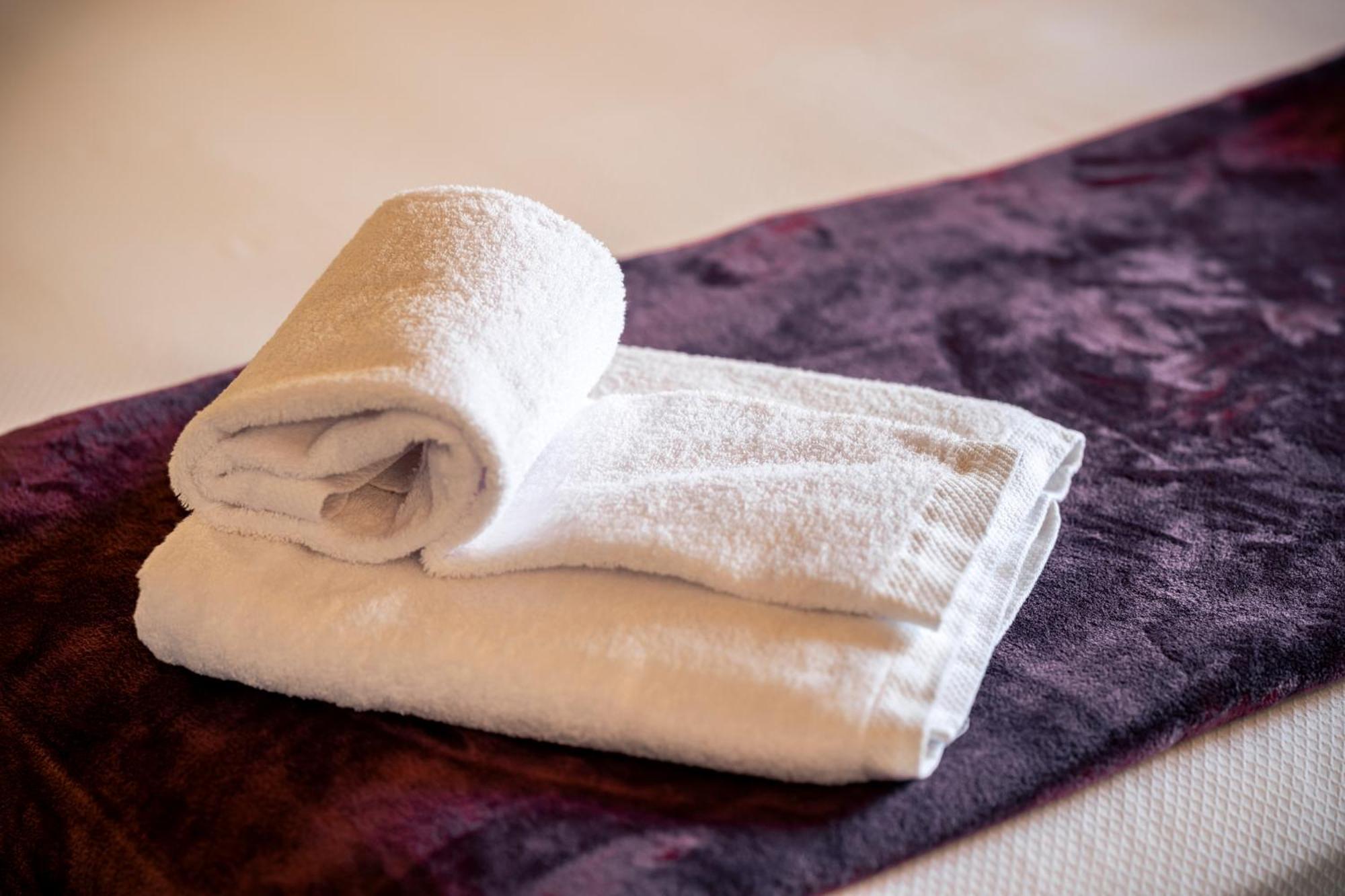 Abbatissa Hotel Restaurant Sant Joan de les Abadesses Ngoại thất bức ảnh